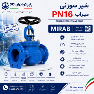شیر سوزنی PN16 میراب با بدنه چدن داکتیل، تنظیم دقیق دبی و فشار، مناسب شبکههای آبرسانی، پایلوت شیرهای کنترلی و سیستمهای صنعتی | پایپکو ایران کالا